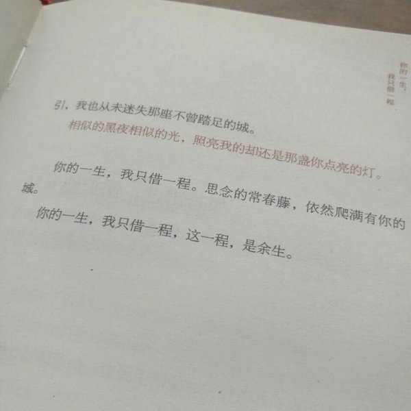 你没来过 我也没爱过