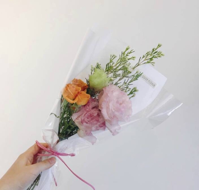 叶祁：二月 愿每一天都有好心情 ​。 ​​​​