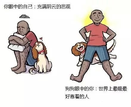 小哥哥：我想养只狗.