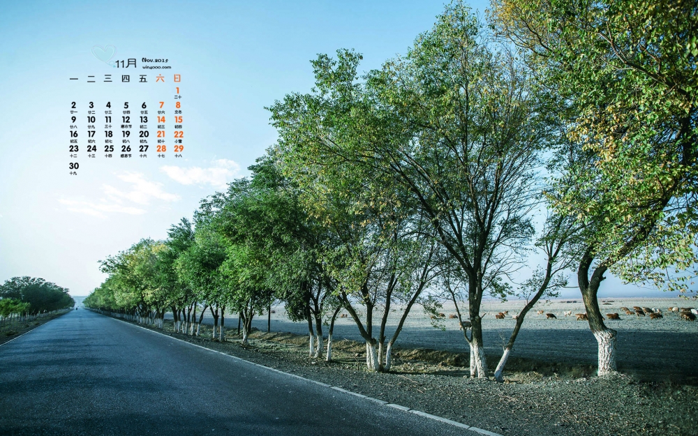2015年11月公路边植物风景日历电脑壁纸下载