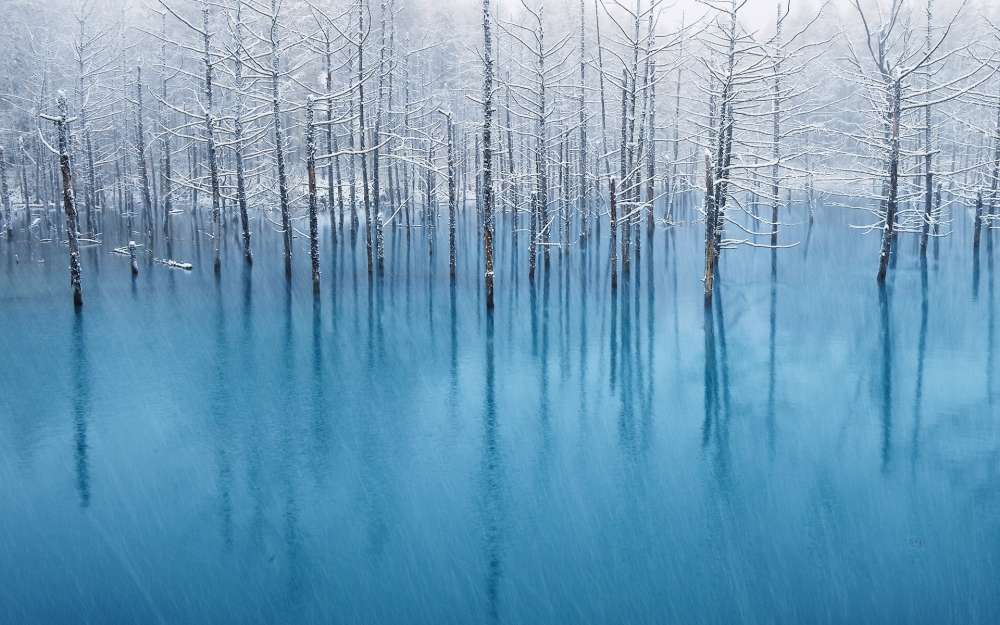 冬雪覆盖下的湖水风景壁纸