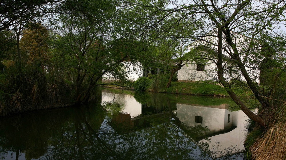 西溪湿地公园