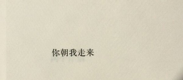 我的世界 喜则留，厌则走，不强求