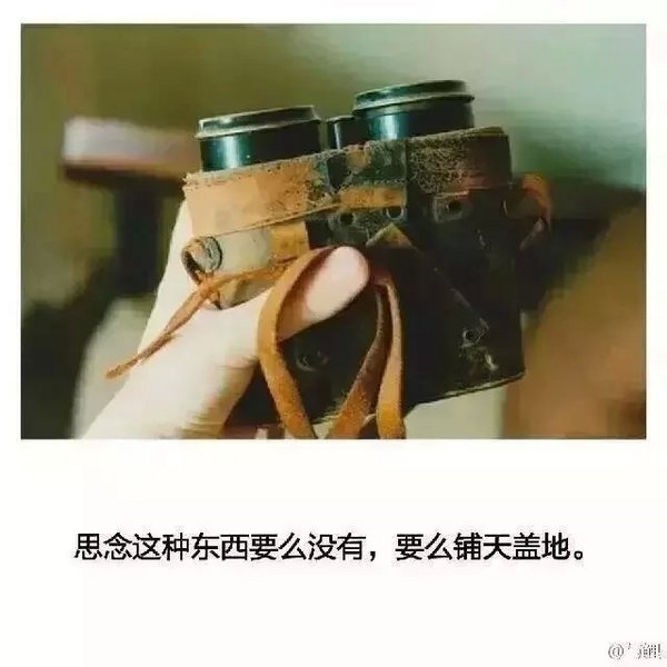 他们的故事还在继续，而我已被困在原地。