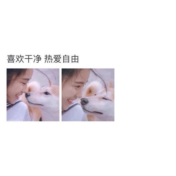 不做情人，做只宠物，至少可爱迷人