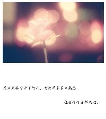 不要再怀念了姑娘 不要再想了