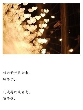 不要再怀念了姑娘 不要再想了