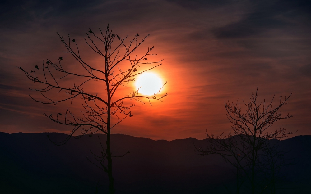 夕阳下的唯美剪影风景高清桌面壁纸