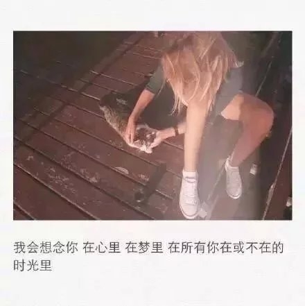 在所有你在或者不在的时光里