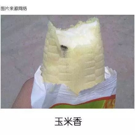 你们觉得雪糕界的霸主到底是谁？