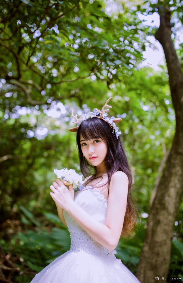 诺子：他说她像森林里的麋鹿  然后他给她一对幻想的鹿角  却消失在她的森林里