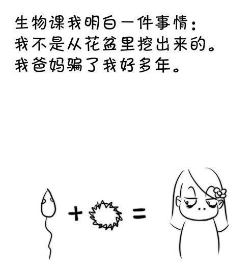 小哥哥：这是一个关于女孩的故事.