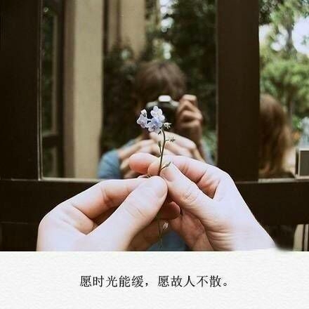 愿你惦念的人能和你道晚安 愿你独闯的日子里不觉得孤单
