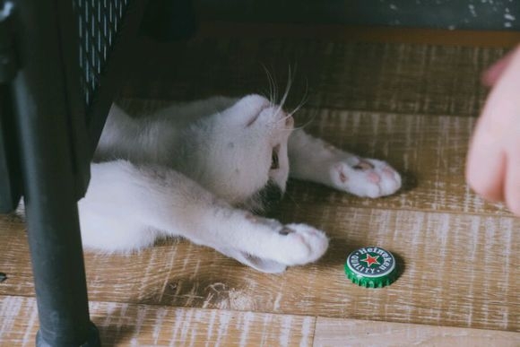 意寒：他那快乐自在的模样仿佛来自另一个星球