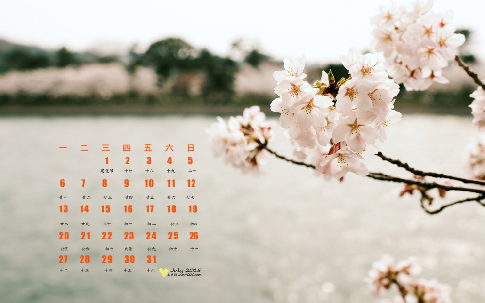 2015年7月日历精选清香樱花图片桌面壁纸下载