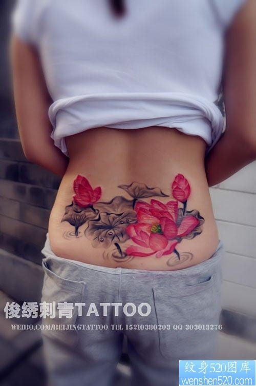 美女腰部好看精美的莲花与荷叶纹身图片