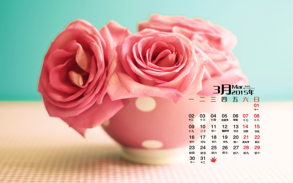 2015年3月日历壁纸精选唯美好看的鲜花素材花卉高清图片下载