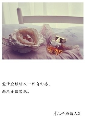 不要再怀念了姑娘 不要再想了