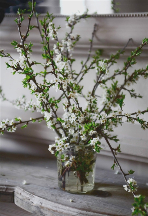 唯美鲜花意境图片 青色鲜花照