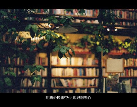 有些爱情 失了开局  残了结尾