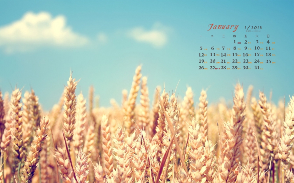 2015年1月日历壁纸精选非主流治愈系唯美风景高清图片