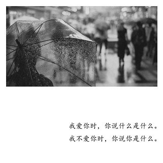不要再怀念了姑娘 不要再想了