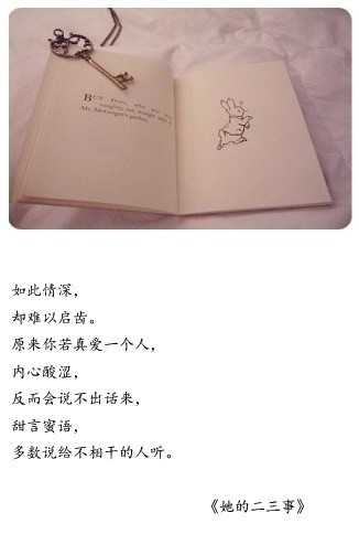 不要再怀念了姑娘 不要再想了