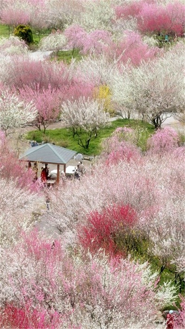 日本各地风景唯美小新清高清手机壁纸下载