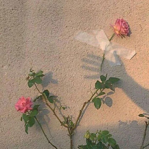 其实有些人，都在等着你