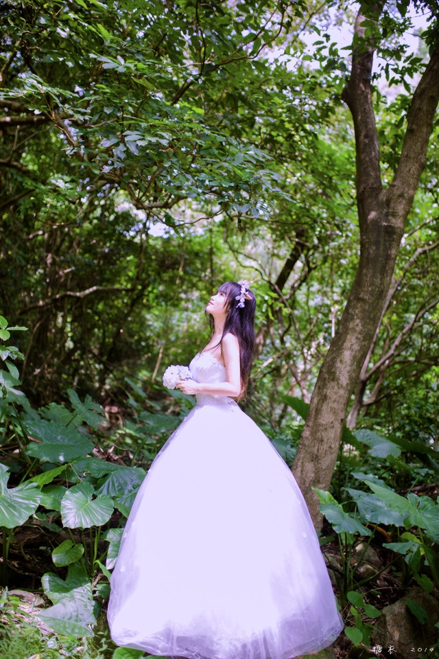诺子：他说她像森林里的麋鹿  然后他给她一对幻想的鹿角  却消失在她的森林里