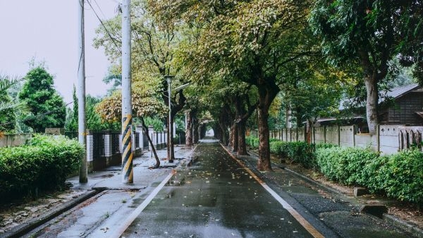 那些走过的街道，美丽的小巷