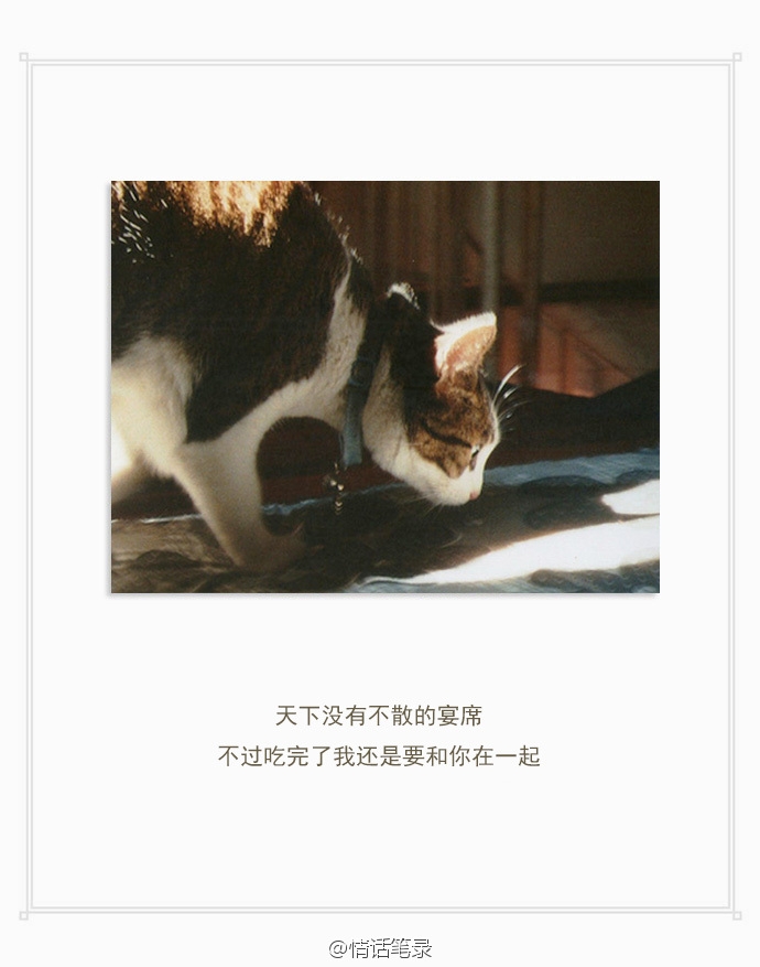 ：给你的爱一直很安静.
