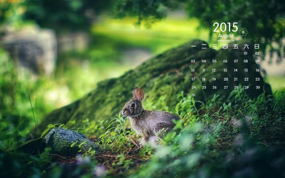 2015年8月日历森林里的小兔子护眼桌面壁纸下载
