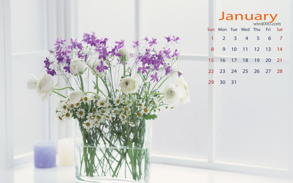 2017年1月唯美清新静物花卉桌面日历壁纸  第一辑