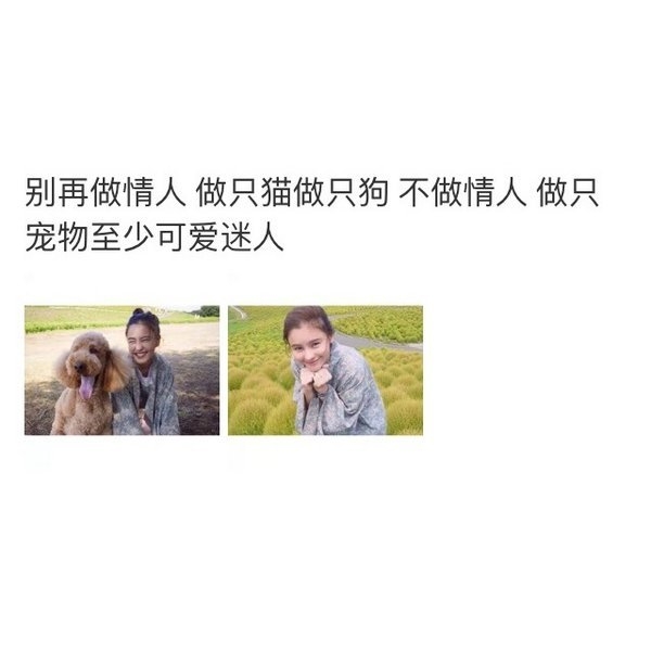 不做情人，做只宠物，至少可爱迷人