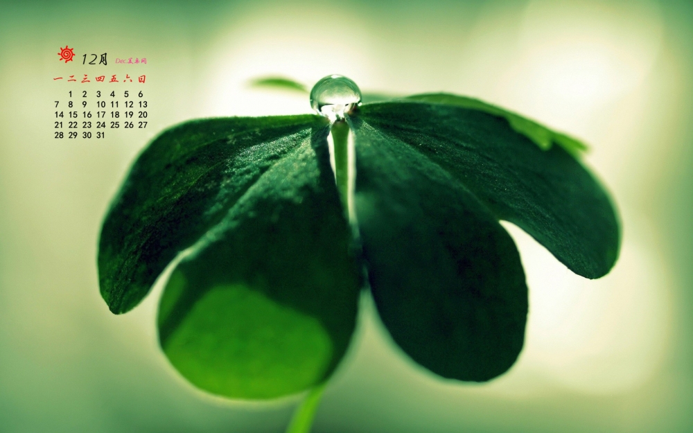 2015年12月日历绿色护眼桌面壁纸下载2