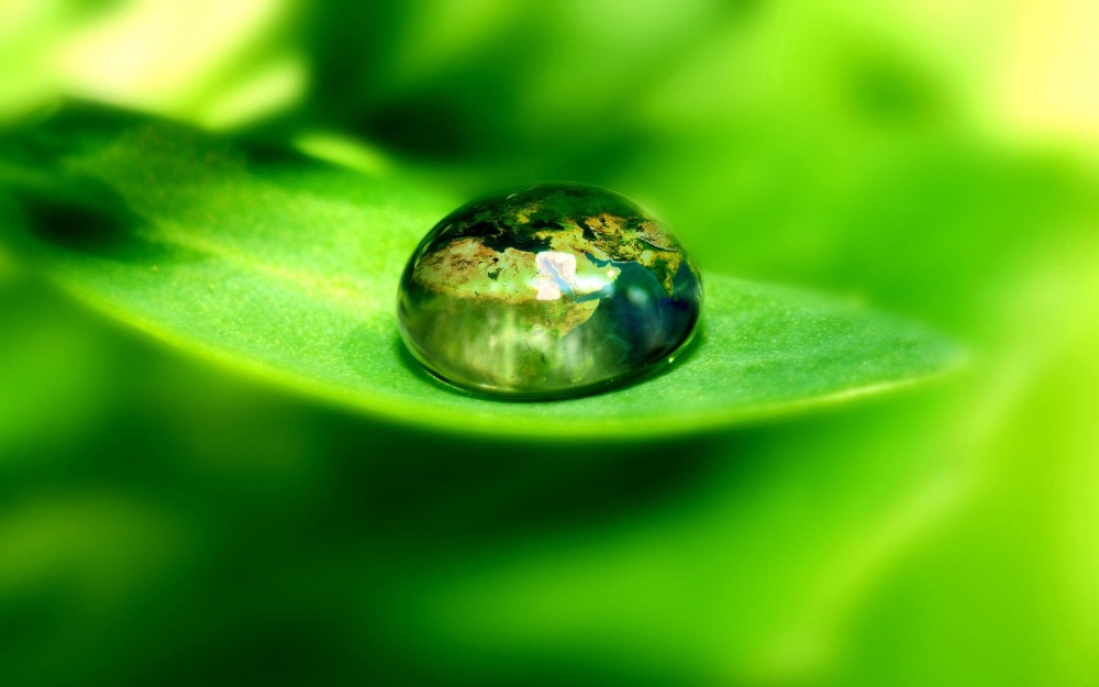 绿叶上的雨滴 露珠 水滴 水珠宽屏壁纸