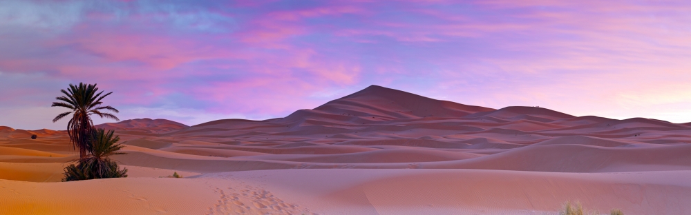 荒凉而美丽的沙漠之景