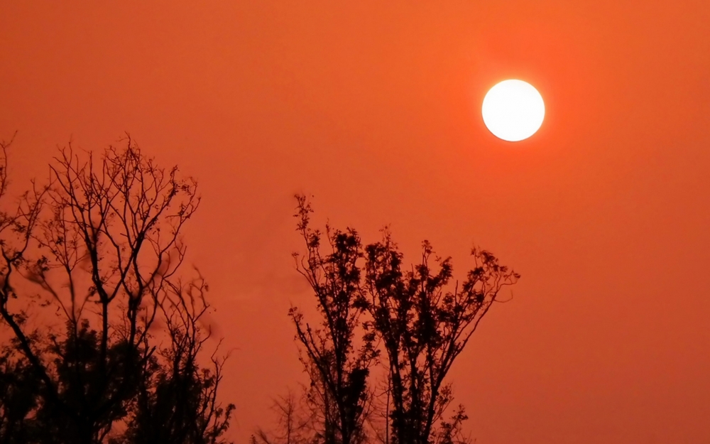 夕阳下的唯美剪影风景高清桌面壁纸