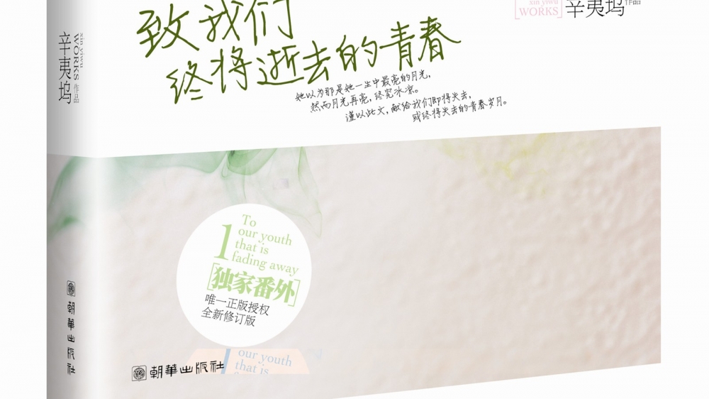 致我们终将逝去的青春电脑壁纸之偶像电影