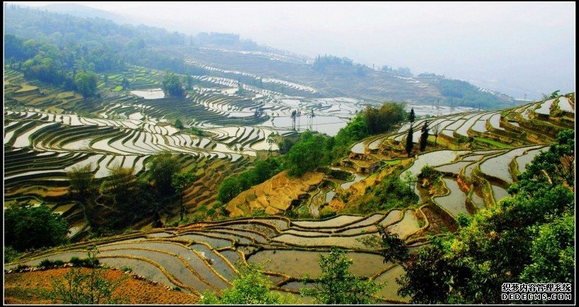 超美丽的自然梯田风景高清图片集