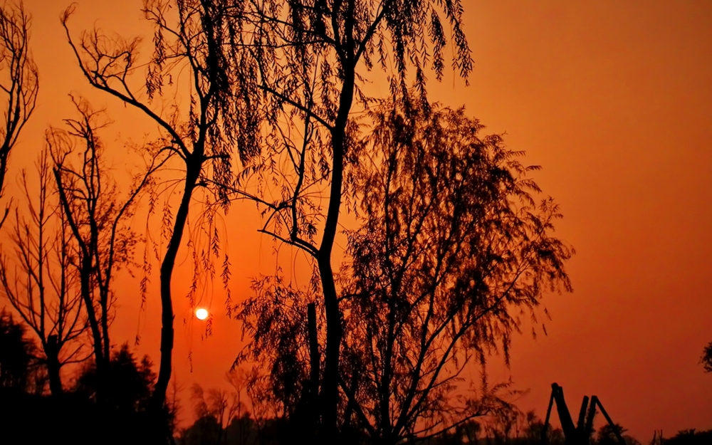 夕阳下的唯美剪影风景高清桌面壁纸