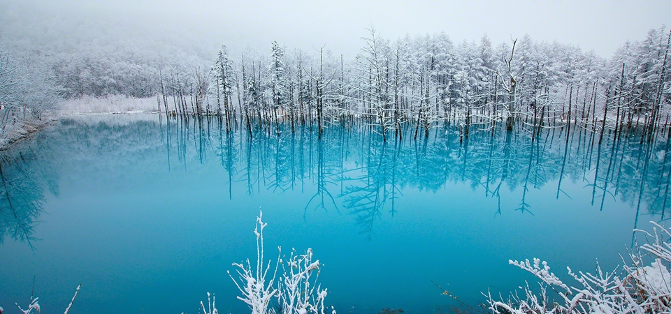 蓝色湖水，雪景，树林，北海道，冬天风景桌面壁纸