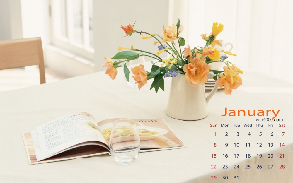 2017年1月唯美清新静物花卉桌面日历壁纸  第一辑