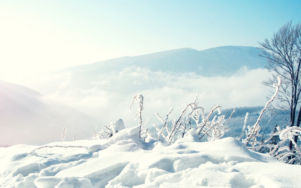 雪景千里冰封图片