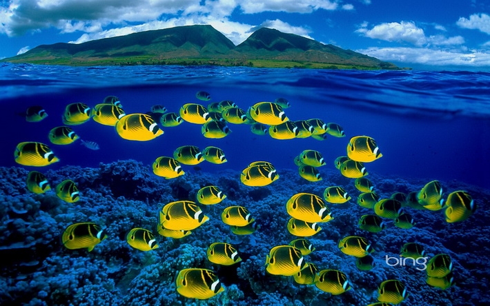 Windows7 Bing官方主题壁纸1920x1200【10P】