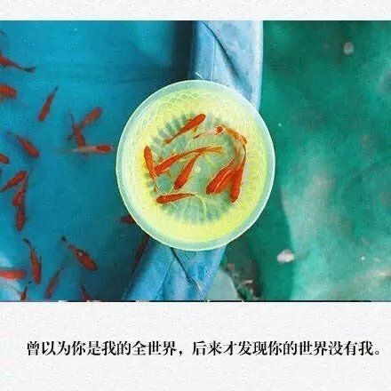 你们喜欢就好。