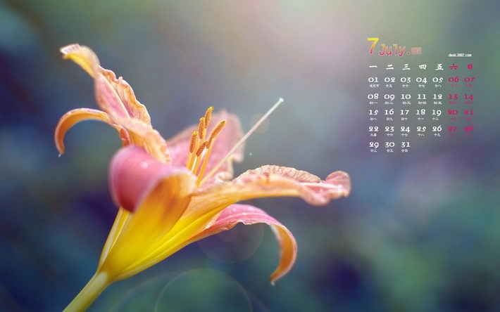 2013年7月小清新日历桌面壁纸