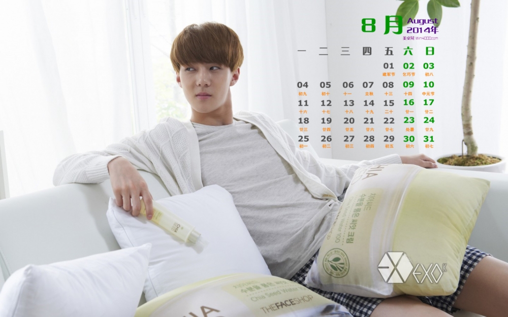 2014年8月日历exo吴世勋清新写真电脑桌面主题壁纸
