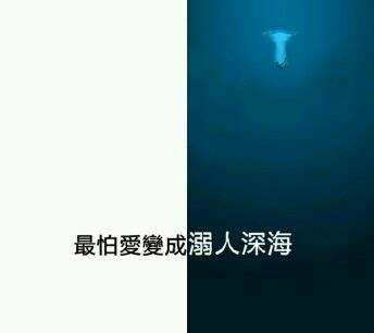 每段感情都非常珍贵